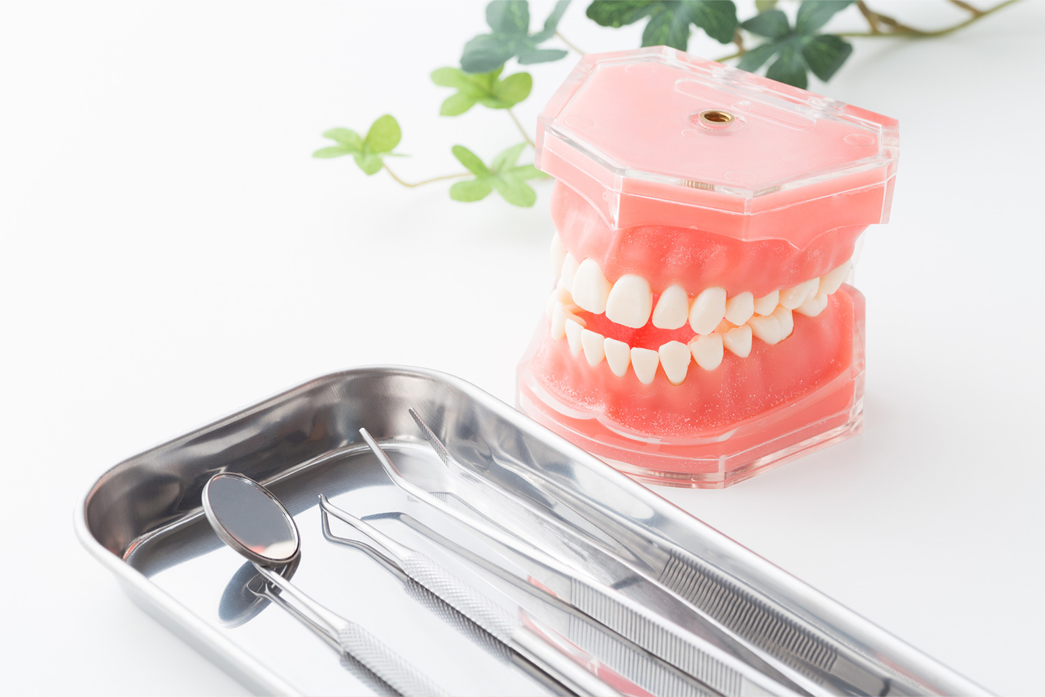 メンテナンス・定期検診